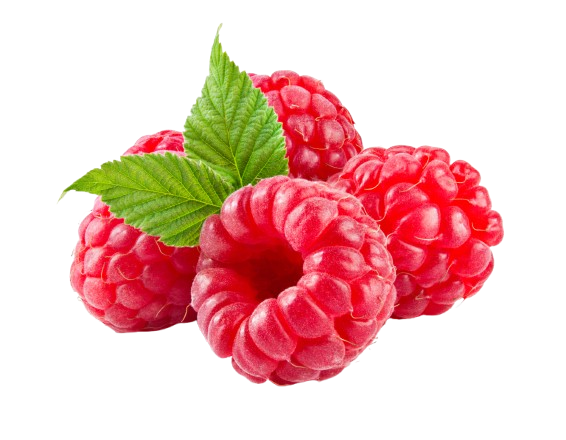 Raspberry Carlos Correia Berry Advisor