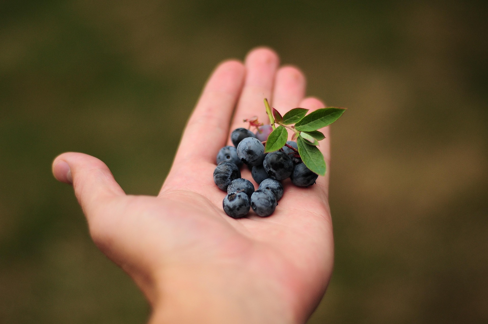 The Berry Equation: Price × Productivity ÷ People